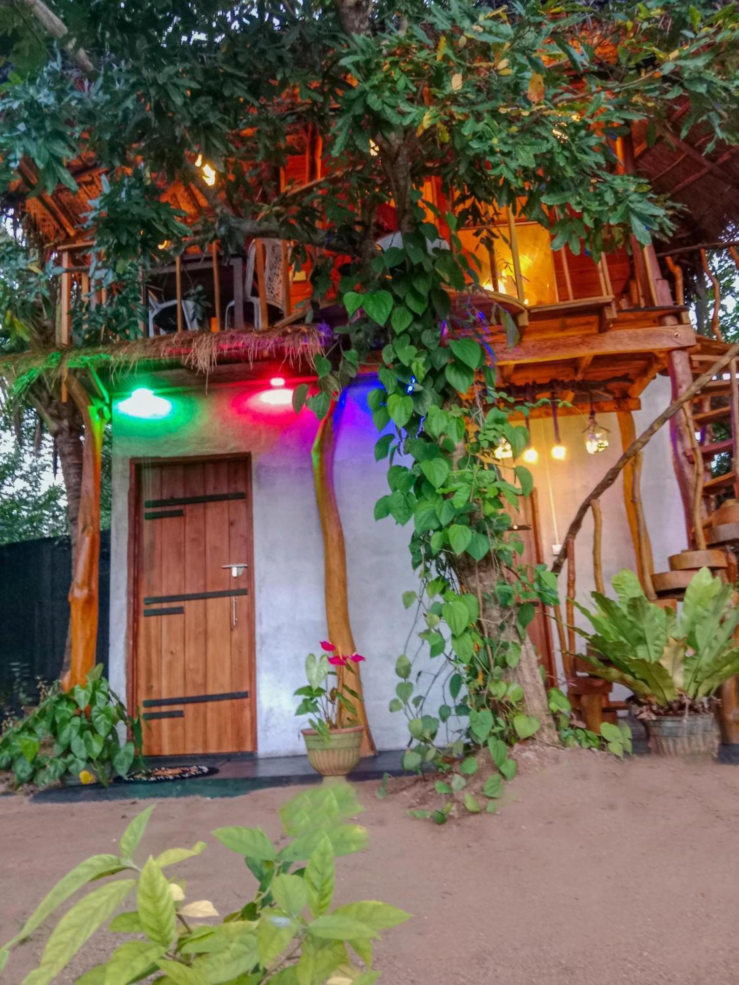 The Banda' Eco Villa Sigiriya Dış mekan fotoğraf